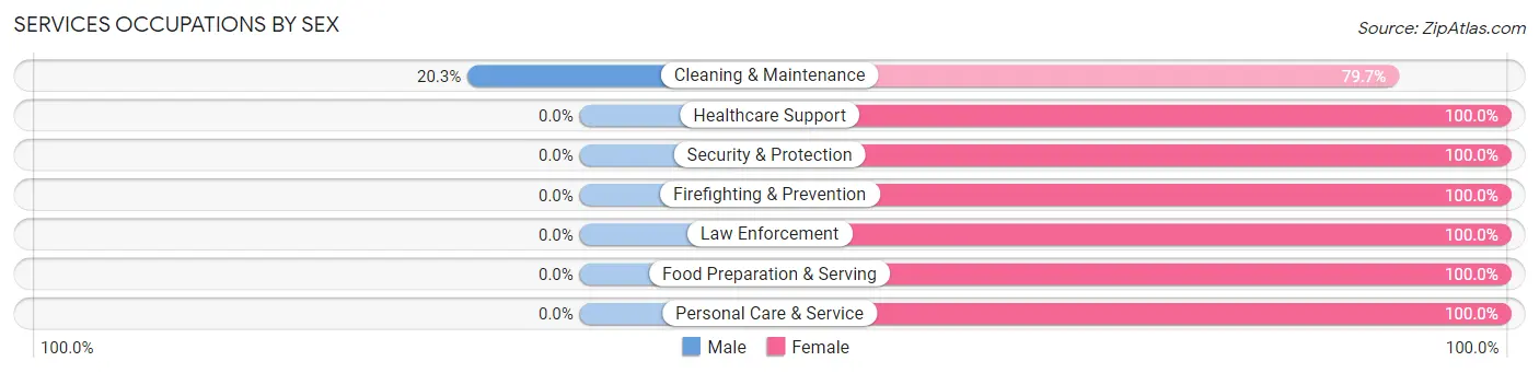 Services Occupations by Sex in Zip Code 31089