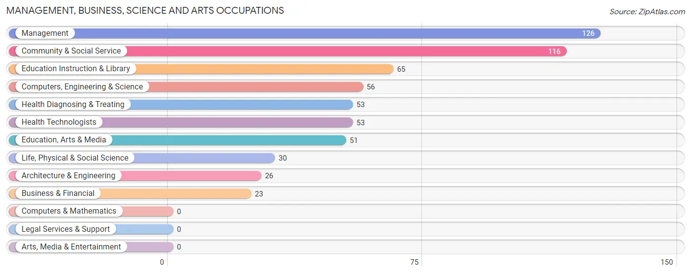 Management, Business, Science and Arts Occupations in Zip Code 31091