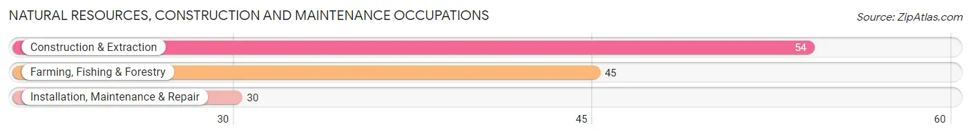 Natural Resources, Construction and Maintenance Occupations in Zip Code 31091