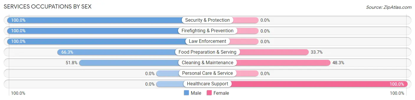 Services Occupations by Sex in Zip Code 31092