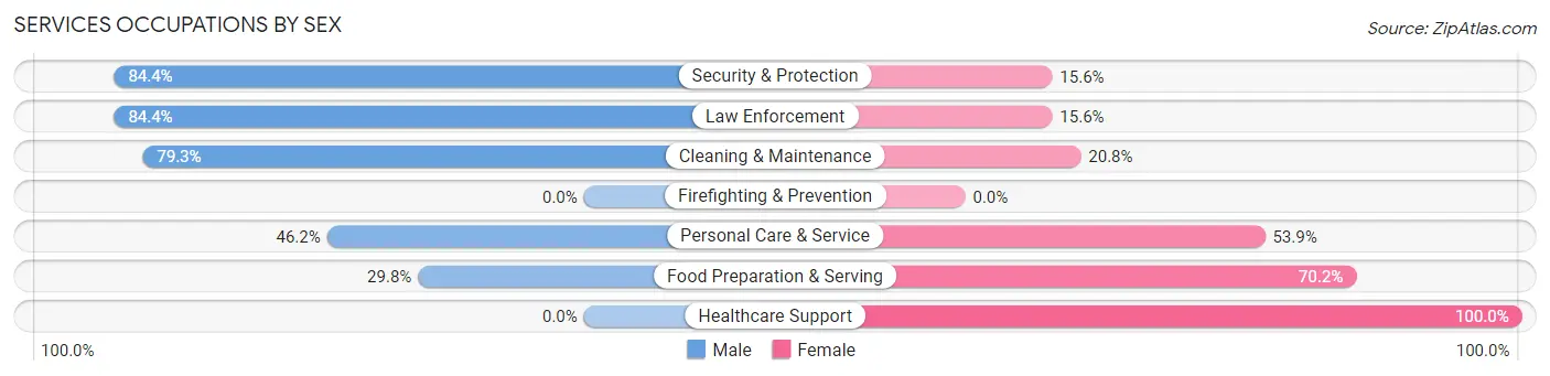 Services Occupations by Sex in Zip Code 31096