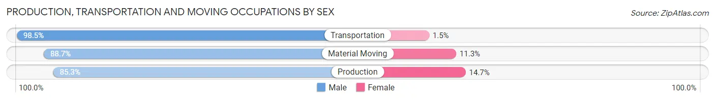 Production, Transportation and Moving Occupations by Sex in Zip Code 31210