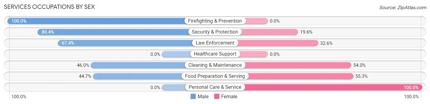 Services Occupations by Sex in Zip Code 31302