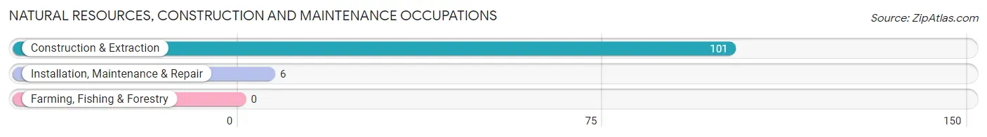 Natural Resources, Construction and Maintenance Occupations in Zip Code 31303