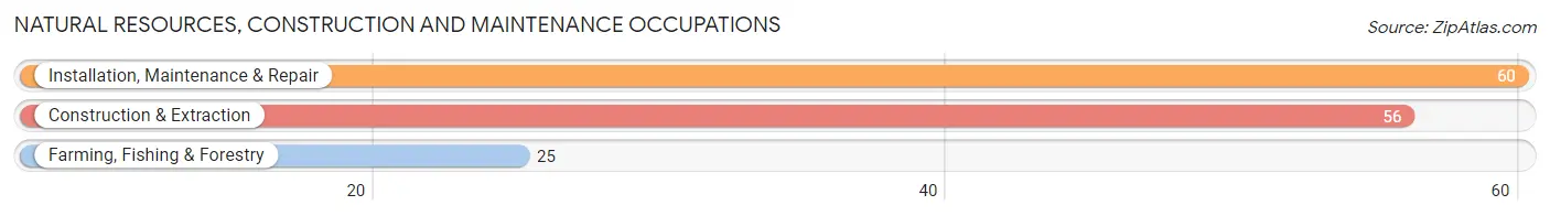 Natural Resources, Construction and Maintenance Occupations in Zip Code 31305