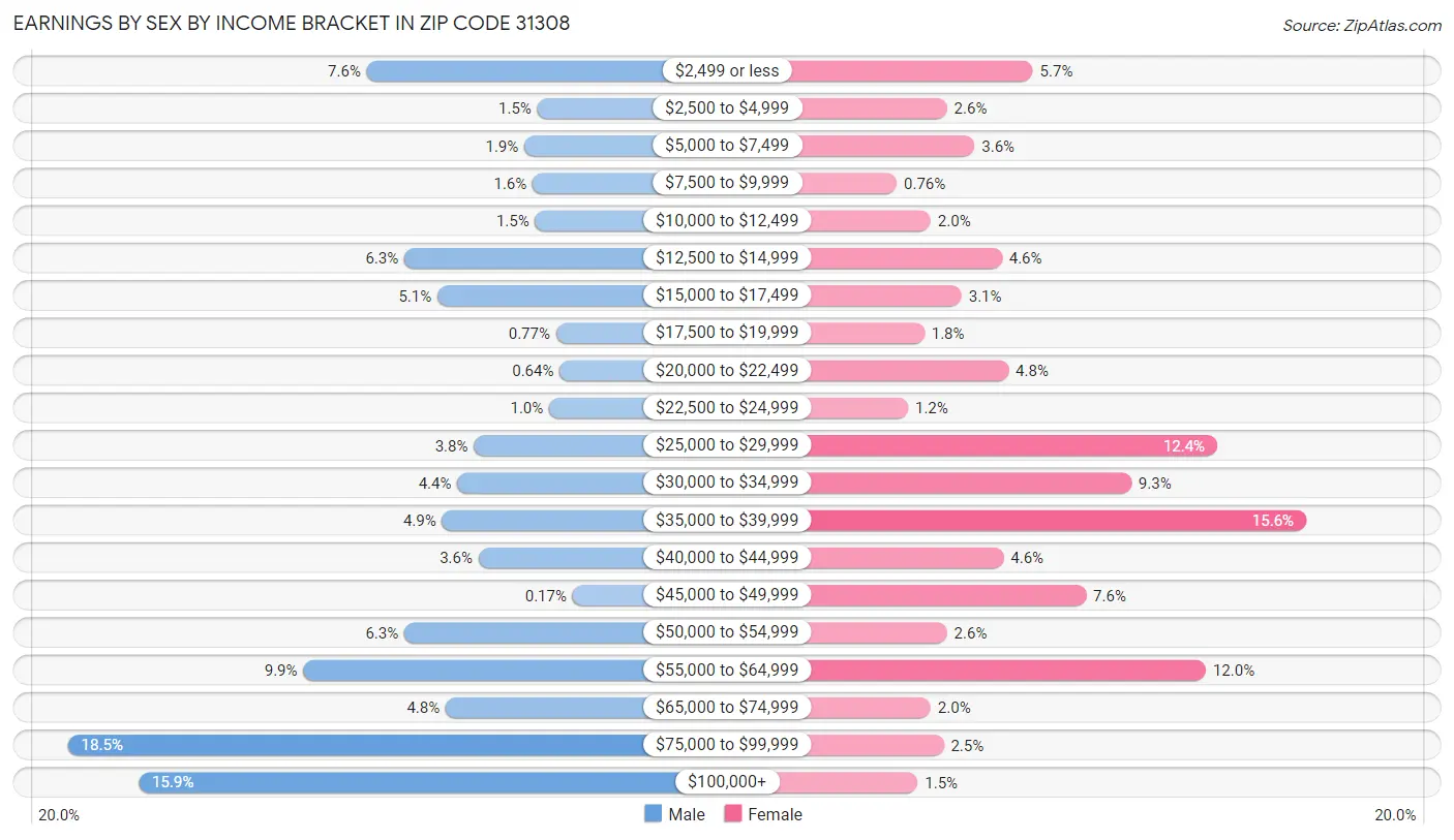 Earnings by Sex by Income Bracket in Zip Code 31308