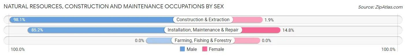 Natural Resources, Construction and Maintenance Occupations by Sex in Zip Code 31308