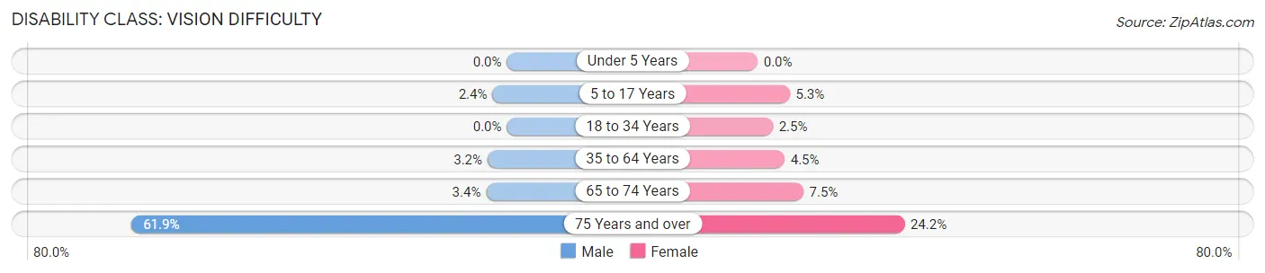 Disability in Zip Code 31308: <span>Vision Difficulty</span>