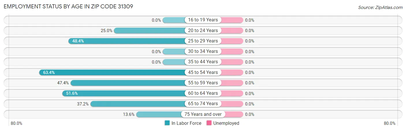 Employment Status by Age in Zip Code 31309