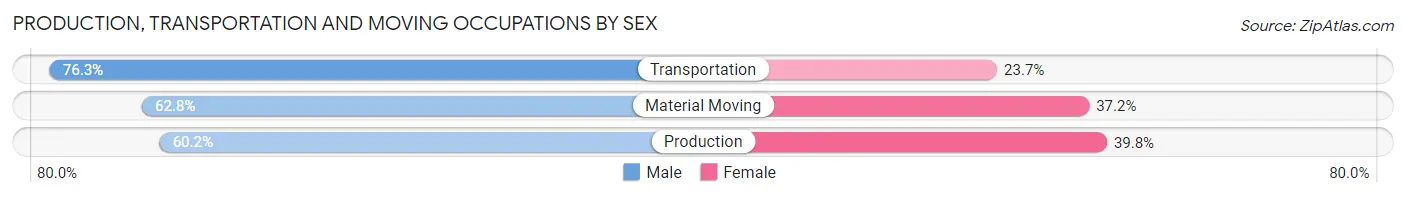 Production, Transportation and Moving Occupations by Sex in Zip Code 31316