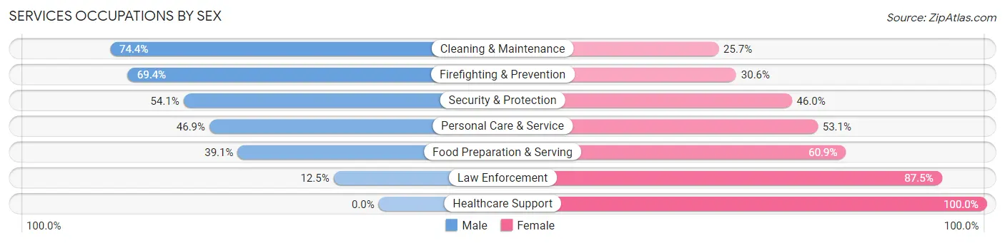 Services Occupations by Sex in Zip Code 31320