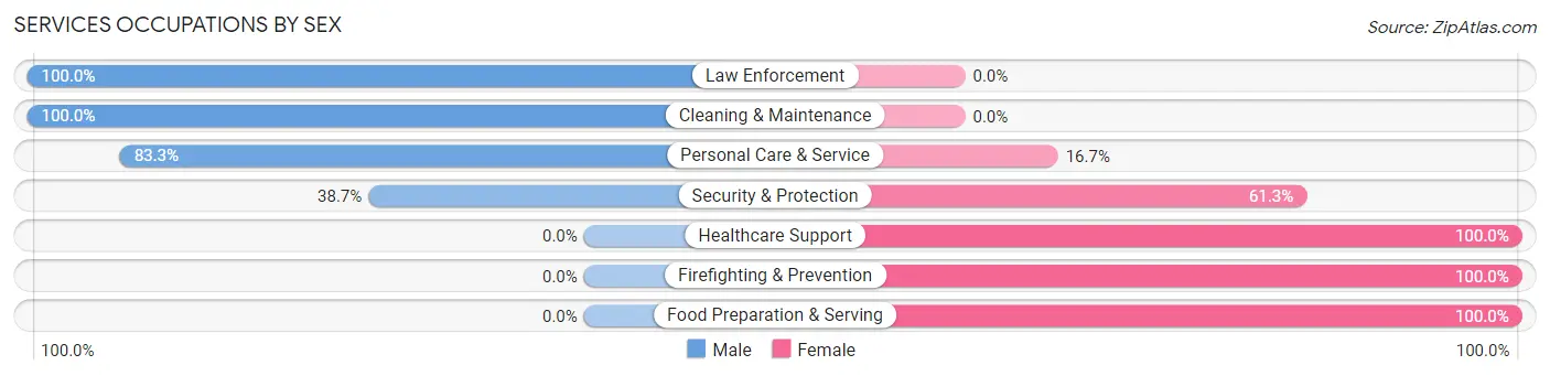 Services Occupations by Sex in Zip Code 31323