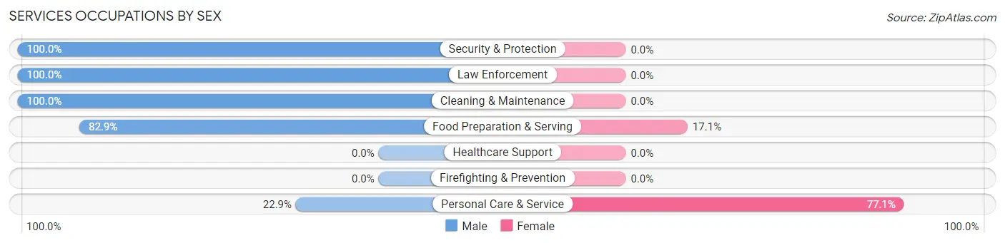 Services Occupations by Sex in Zip Code 31328