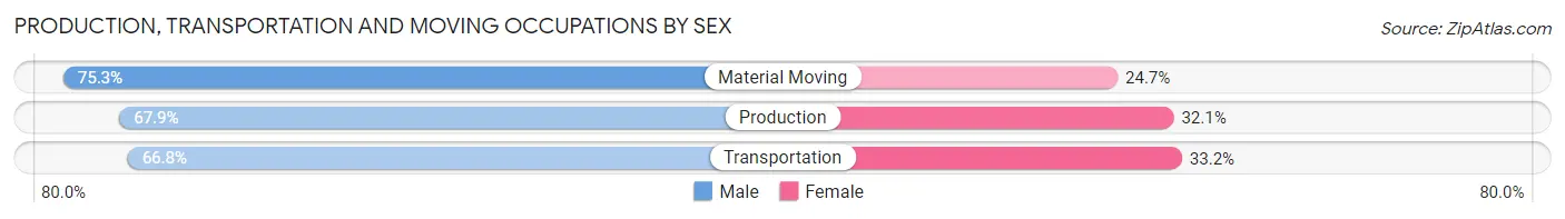 Production, Transportation and Moving Occupations by Sex in Zip Code 31404