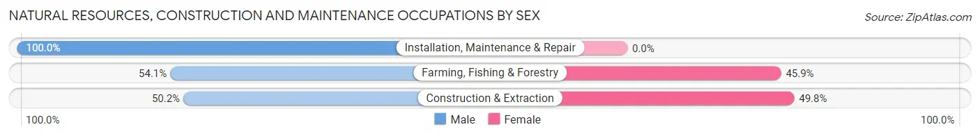 Natural Resources, Construction and Maintenance Occupations by Sex in Zip Code 31415