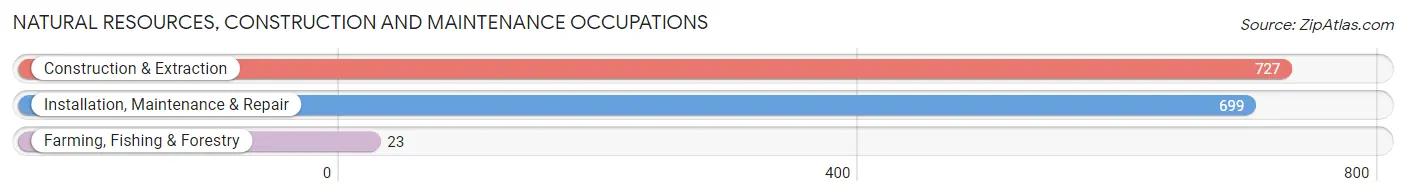 Natural Resources, Construction and Maintenance Occupations in Zip Code 31503