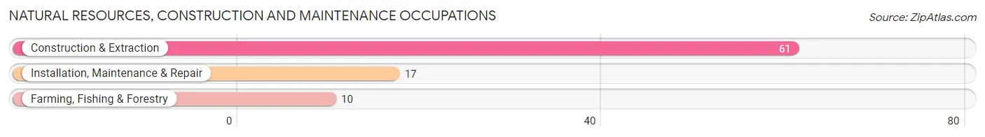 Natural Resources, Construction and Maintenance Occupations in Zip Code 31518