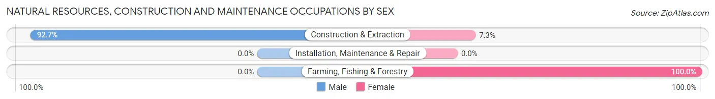 Natural Resources, Construction and Maintenance Occupations by Sex in Zip Code 31519
