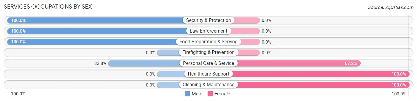 Services Occupations by Sex in Zip Code 31543