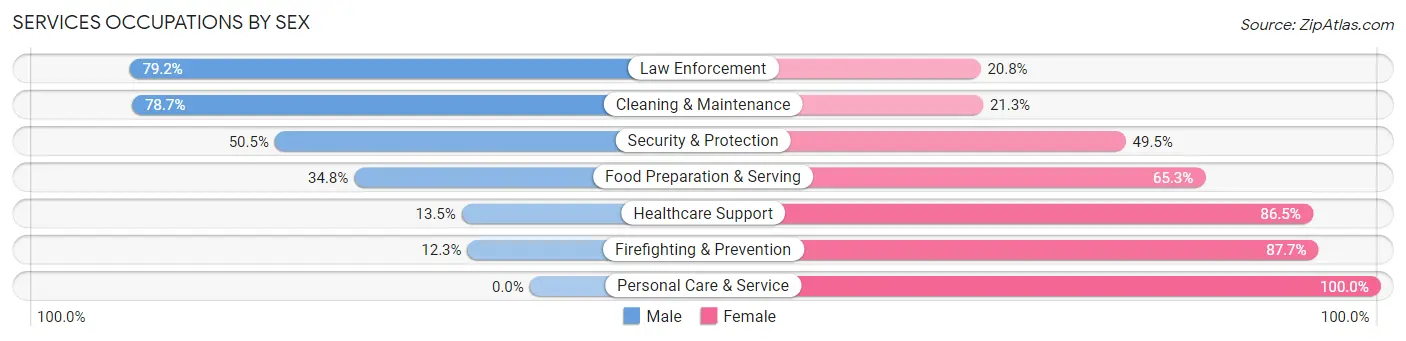 Services Occupations by Sex in Zip Code 31545