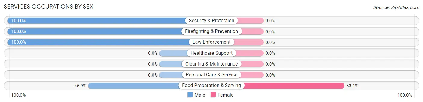 Services Occupations by Sex in Zip Code 31551
