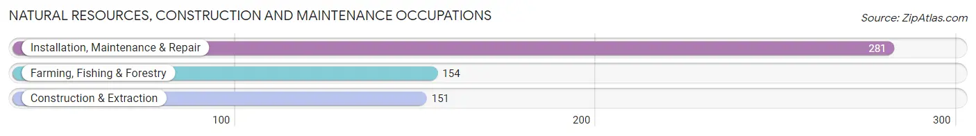 Natural Resources, Construction and Maintenance Occupations in Zip Code 31643