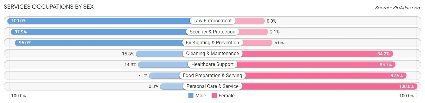 Services Occupations by Sex in Zip Code 31645