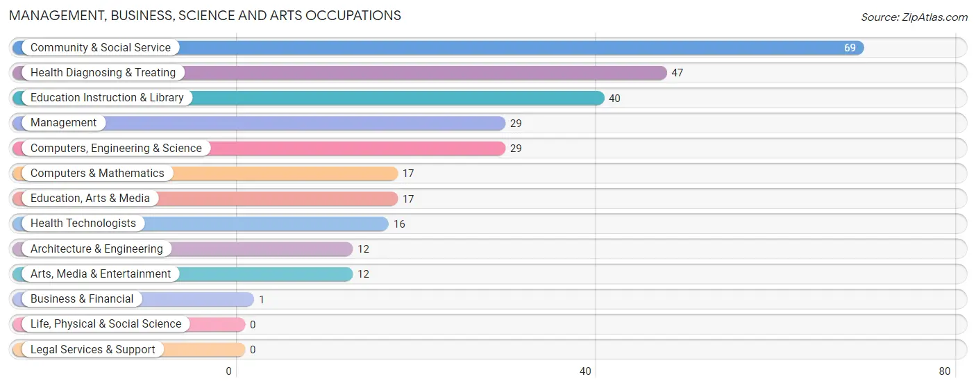 Management, Business, Science and Arts Occupations in Zip Code 31649