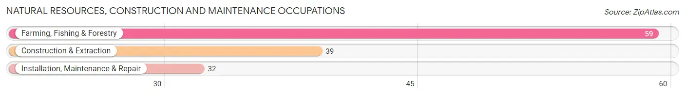 Natural Resources, Construction and Maintenance Occupations in Zip Code 31650