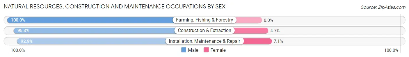Natural Resources, Construction and Maintenance Occupations by Sex in Zip Code 31707