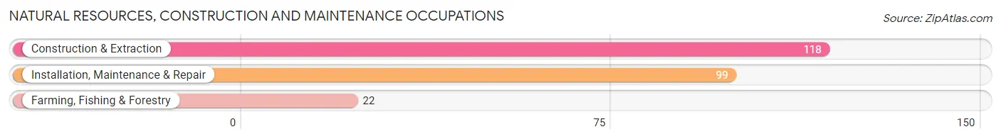 Natural Resources, Construction and Maintenance Occupations in Zip Code 31716