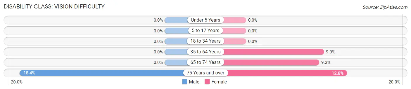 Disability in Zip Code 31716: <span>Vision Difficulty</span>