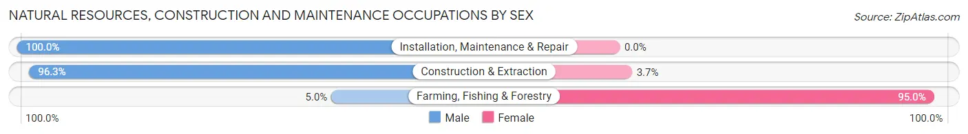 Natural Resources, Construction and Maintenance Occupations by Sex in Zip Code 31722