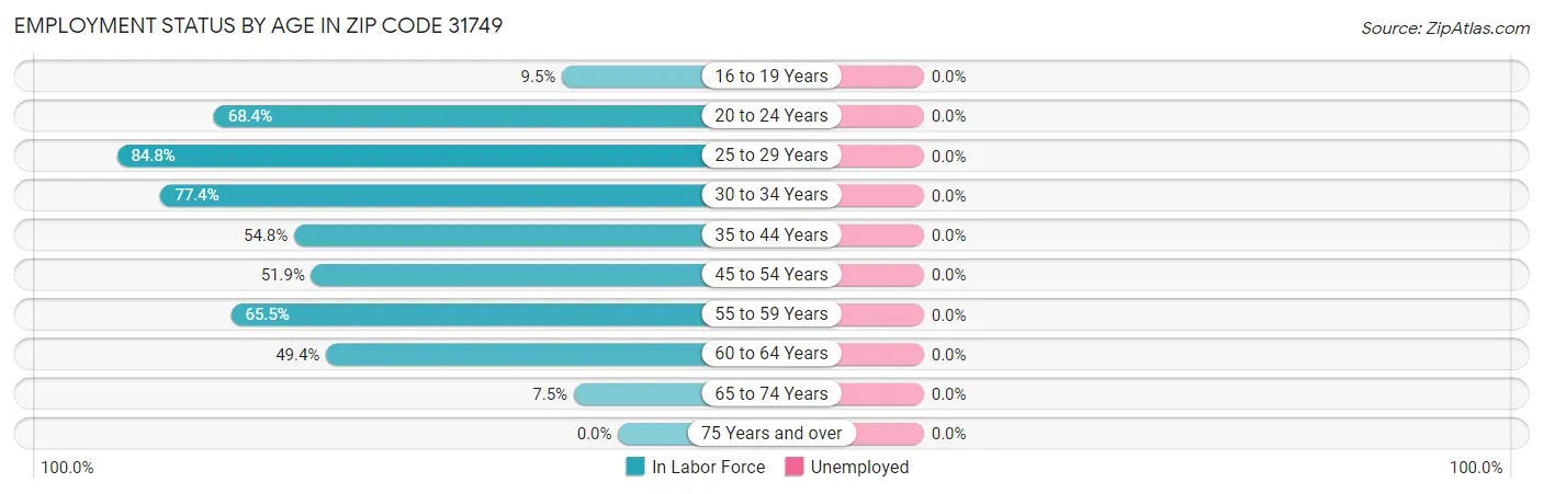 Employment Status by Age in Zip Code 31749