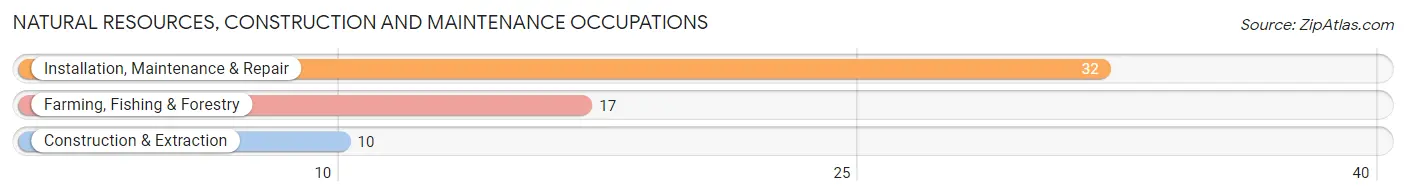 Natural Resources, Construction and Maintenance Occupations in Zip Code 31756