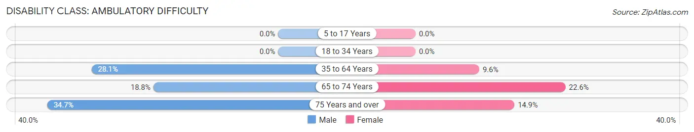 Disability in Zip Code 31765: <span>Ambulatory Difficulty</span>