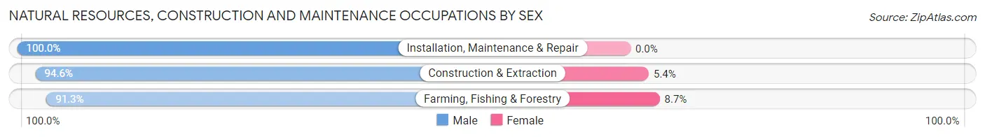 Natural Resources, Construction and Maintenance Occupations by Sex in Zip Code 31768