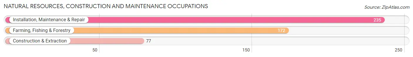 Natural Resources, Construction and Maintenance Occupations in Zip Code 31771