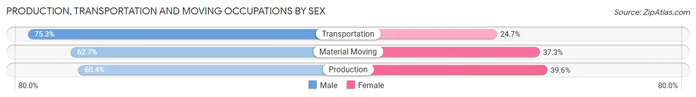 Production, Transportation and Moving Occupations by Sex in Zip Code 31774