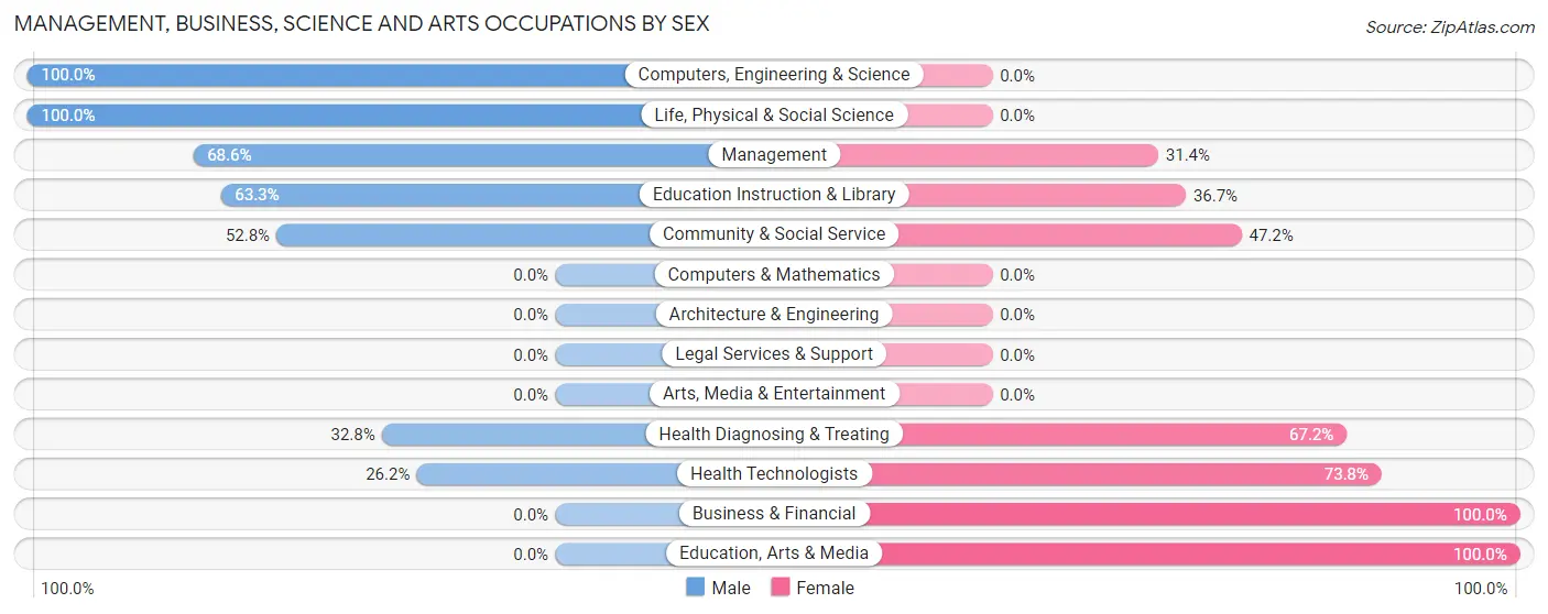Management, Business, Science and Arts Occupations by Sex in Zip Code 31775
