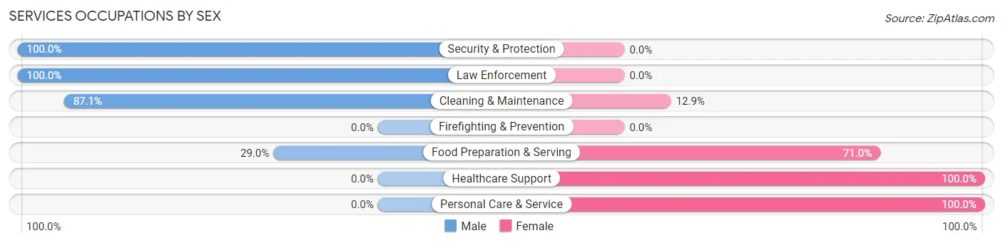 Services Occupations by Sex in Zip Code 31775