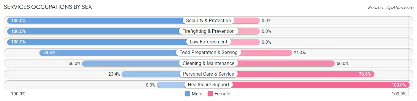 Services Occupations by Sex in Zip Code 31778