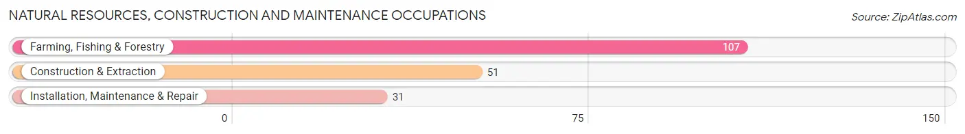 Natural Resources, Construction and Maintenance Occupations in Zip Code 31789