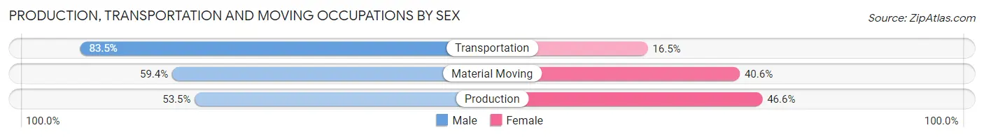 Production, Transportation and Moving Occupations by Sex in Zip Code 31791