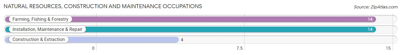 Natural Resources, Construction and Maintenance Occupations in Zip Code 31796