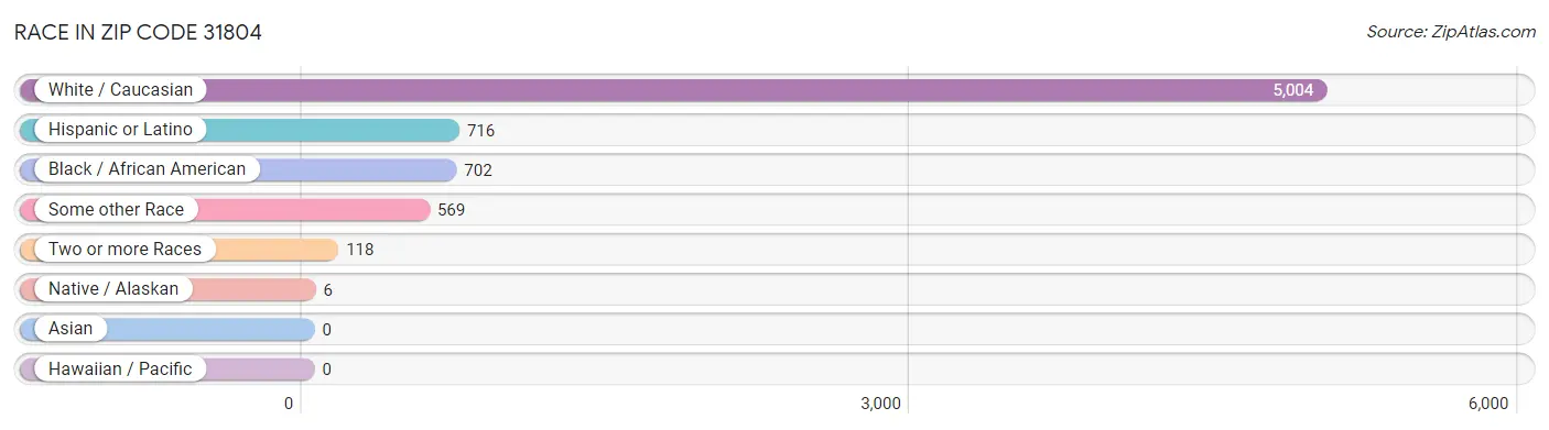 Race in Zip Code 31804