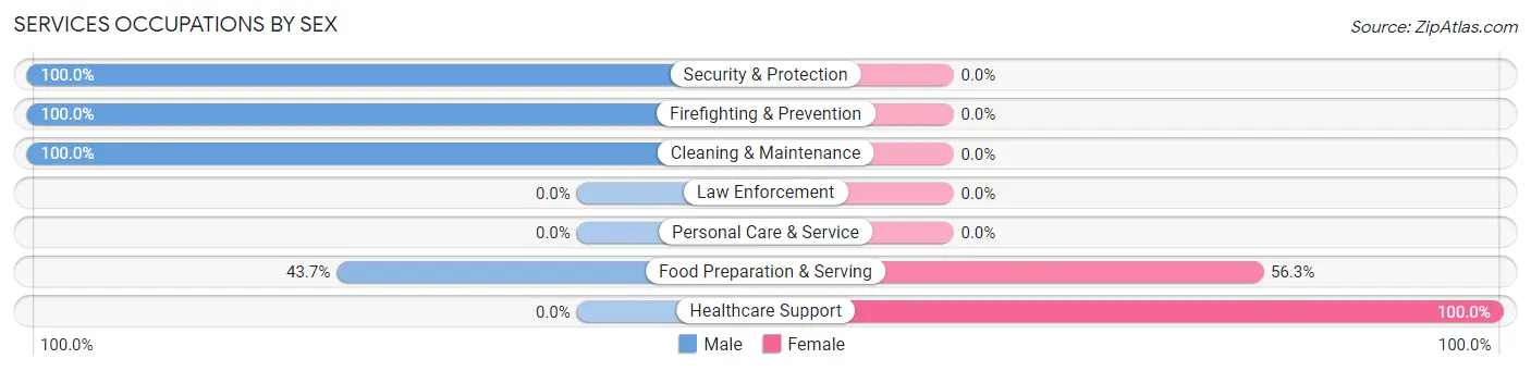 Services Occupations by Sex in Zip Code 31804