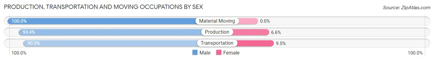 Production, Transportation and Moving Occupations by Sex in Zip Code 31806