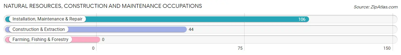 Natural Resources, Construction and Maintenance Occupations in Zip Code 31807