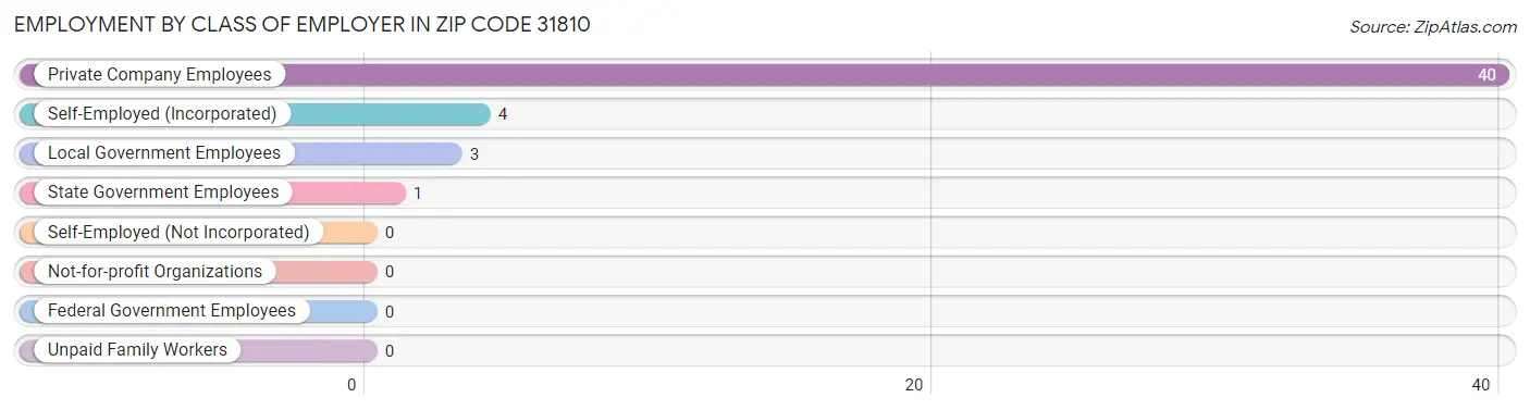 Employment by Class of Employer in Zip Code 31810